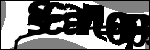 متن برای شناسایی